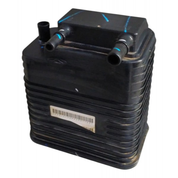 Filtro Canister Chery Tiggo 5x 2024 2025