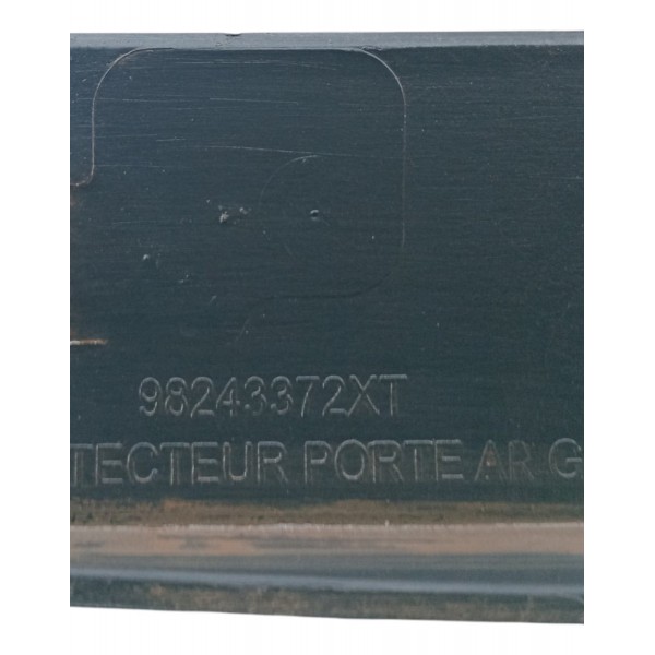 Friso Porta Tras Cactus C4 Le 2018 2022 C Detalhe (usado)