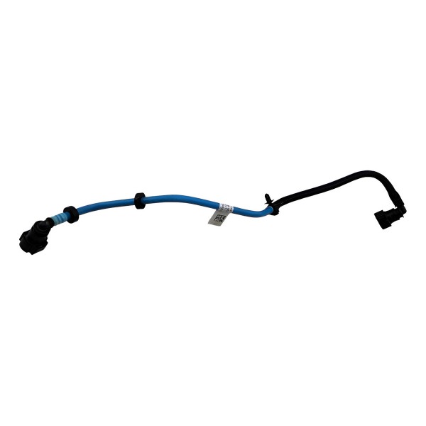 Mangueira Válvula Canister Fiat Fastback 2024